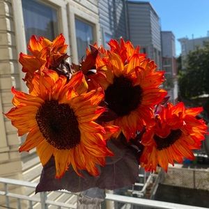 Meet your Posher, Camille